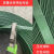 HKNAPET塑钢打包带1608绿色包装带木材砖头打包用塑钢绳捆扎带1910带 普通款1608%23 重15公斤 长约970米