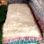 XMSJ澳洲羊毛褥子皮毛一体羊羔绒床毯羊皮褥子加厚单双人床垫 自然白精选豪华整皮款花色布 90*180厘米