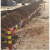适用施工道路旗彩旗工地安全警示三角隔离带彩色警戒线小红旗围绳 100米 一包