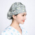 梓萤岔护士帽厨房时戴的油烟防卫生女士帽子室内包头套工作防掉发护士做 草绿色 可调节