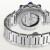 卡地亚（Cartier） 瑞士手表 帕莎系列自动机械男女腕表【618提前购】 41mm钢带银色条钉WSPA0018