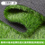 人造草坪仿真草坪垫子塑料假绿植室外户外阳台商用草皮户外幼儿园球场装饰绿色地毯围挡 3.0升级抗紫外线M草（50平方）