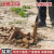 精品洛阳铲头取土器挖土坑打洞打井对锹考古勘探杆洞 1把铲头3米（每节1米）