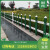 定制适用草坪护栏PVC塑钢绿化带围栏菜地花园池圃坛塑料小栅栏村路边隔离 草绿色30厘米高 每米的价格