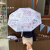 霜魄乌萨奇雨伞晴雨两用遮阳小八卡通折叠学生晒紫外线自动 chiikawa透明自动雨伞