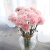 鲜花云南直发香水百合玫瑰向日葵家用水养鲜切混搭插 20支粉色康乃馨 顺丰