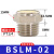 气动接头平头铜消声器BSLM-01/02/03/04/06/M5铜质静 BSLM-02 (2分)