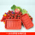市一次性水果托盘草莓打包盒1710加厚奶油草莓底托包装盒 1710CD加厚红色100个