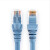 适用于TCL罗格朗六类非屏蔽跳线RJ45千兆屏蔽网络6类网线1/2米3/5米 1.5米六类非屏蔽跳线 632751