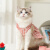 嬉皮狗（hipidog）宠物猫咪爱心格子吊带裙可牵引设计布偶猫衣服英短美短春夏季薄款 粉色格子裙（自带牵引扣） XXL （建议体重15-20斤）