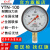 红旗牌仪表YTN-100/YN-100抗震压力表耐震压力表充油压力表真空表 -0.1~1.5MPa