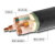 定制低压VV电力电缆 铜芯工程电缆线 国标足米定制铠装电力电议价 黑色*VV-4*25