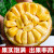 海南黄肉菠萝蜜整个脆甜当季新鲜水果干苞波罗密 15-20斤
