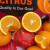 埃及橙进口埃及脐橙新鲜多汁橙当季时令大果奶茶店榨汁橙 70mm(含)-75mm(不含) 5斤