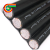RVVP61芯0.5平方60+1国标铜网屏蔽隔离多芯电缆线现货 黑色 50m x 61芯 x 0.5平方毫米