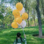 超大红色气球36寸彩色加厚宝宝周岁生日布置户外小红书拍照道具 10寸白柠檬黄笑脸气球（15个）丝带2卷