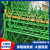 上海仿竹护栏不锈钢围栏仿竹节花园篱笆金属栅栏农家庭院园林庭院 0.5米（横梁38 格栅杆：19