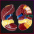 FACEMINI 医学仿真人体肝脏解剖模型肝门胆囊胆管结构消化系统器官演示教具 ZH-187