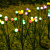 花乐集萤火虫灯太阳能户外防水庭院氛围灯花园草坪布置小院装饰景观亮化 6头暖光1只装