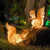 定制太阳能防水发光松鼠灯庭院亮化草坪公园动物造型灯园林装饰景 趴松鼠太阳能