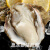 海易鲜（HAIYIXIAN）海易鲜 新鲜活剥超大号冷冻生蚝肉1000g袋装牡蛎贝类（35个左右）