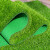 谐晟 仿真草坪地毯人造草皮装饰户外围挡绿植足球场草坪 3厘米春草加密双层底 1平