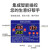 游侠游侠[45-60斤/时可移动]全自动中小型商用榨油机不锈钢冷热双榨智能榨油机D08赶集流动炸油