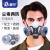盾守 2060防毒面具 喷漆装修 防烟防尘 不含碳盒 主体面具（10个装）