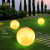 禄欣户外防水草坪灯创意球形花园装饰灯发光圆球灯室外氛围设计月 200mm-电压220V/插地式