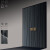 屋里屋外（精雕铝、断桥铝型材）原生态铝板高端入户系统门—华流 单门2050*960mm
