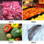 动真格（DongZhenGe）led生鲜灯轨道射灯熟食猪肉冷鲜菜海鲜蔬菜水果鲜肉市场超市专用AA 全铝COB轨道灯 面包区 淡暖光30W 黑/白外壳