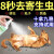 【不怕舔 虫卵双杀】狗狗驱虫药体外犬宠猫咪跳蚤虱子杀虫剂喷雾 1瓶/100ml【试用装】不划算