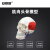 安赛瑞 人体头骨模型 人体头骨肌肉着色带数字模型 骷髅头模型 脑颅骨面颅骨头骨肌肉模型 601523