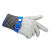 星工（XINGGONG）防割手套不锈钢丝5级防刀刃切割防咬耐磨劳保手套短款 蓝色1只