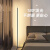 君御极简墙角灯设计师创意北欧客厅沙发灯卧室床头沙发立式氛围 GT1801500暖光LED(黑