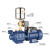 井水泵抽水器深水井抽水泵农村深井自吸泵大吸力井用高吸程 自动新一代自吸螺杆泵18-Q86