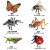 Oenux仿真昆虫动物模型玩具热带雨林毒虫小生物认知场景实心摆件动物园 KZ-蝴蝶