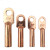 16-50平方 铜鼻 线鼻子 铜接 线端子 铜线耳 电缆堵油 铜接头 接线鼻（12个）定制 DT-10