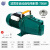 水泵喷射泵JET-100型150型增压泵家用泵井水抽水机高扬程 JET100型铝叶轮非自动750W220V