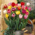 花茶木居居家用四季花卉客厅绿植花卉 25颗花种+花盆+彩石+盆 1套