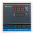 XMA-600型恒温干燥箱烘箱培养箱温控仪控制器干燥箱仪表 余姚亚泰 0-300度仪表【带传感器】