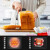 东菱（Donlim）面包机家用 全自动和面机 家用揉面机 可预约智能投撒果料 和面烤面包机一体机 【新手友好款】TM018