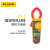 福禄克（FLUKE） F317 钳形万用表多用表电流表钳表仪器仪表 交直流600A真有效值