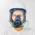 求同2800防尘毒全面具套装 防有机蒸汽酸性气体喷漆防毒面具 2800+2626防多种气体七件套