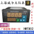 威尔太智能温控仪表上下限报警PID自整定调节器数显温度控制仪 XMT804