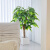 幻绘仿真绿植幸福树室内客厅发财树摆件假树仿生植物大型橱窗造景盆栽 130㎝幸福树 送方形盆