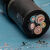 适用于上上国标软电缆YZ2×2.5橡胶橡皮电缆2-5芯1-6平方工程耐磨 Yz3*2.5+1 100米
