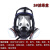 晋广源 CF01全面罩自吸过滤式防毒面具 01球形面罩黑色+配4号滤毒盒七件套