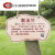 牌子树牌介绍公园定制植物插地绿化学校挂牌树木牌铭牌信息不锈钢 SP-09 15x10cm