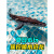 磁立方 MAGNET CUBE儿童遥控船可下水电动鲨鱼巨蟒喷水沧龙喷雾汽艇快艇男孩洗澡 1m  遥控喷水沧龙-灰色 豪华四电四块充电电池(续航约6